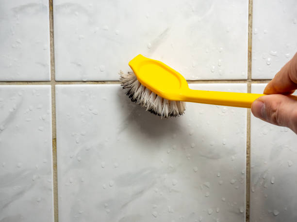 Best Mold Testing and Removal  in Three Rivers, OR