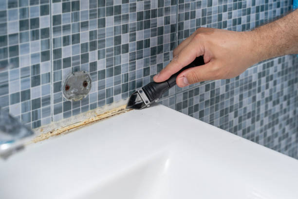 Best Best Mold Removal Companies  in Three Rivers, OR